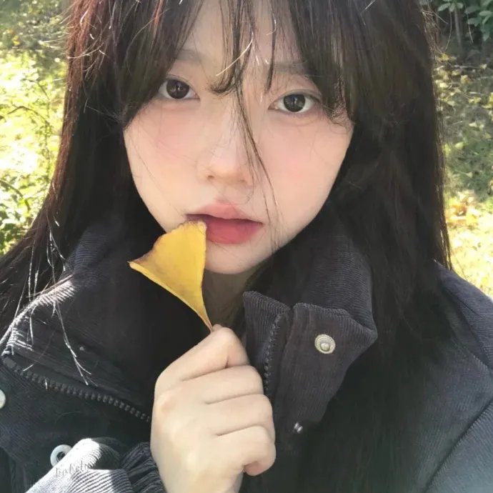 约克女巫会